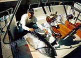 Beneteau Antares 9