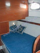 Damor 800