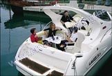 Salpa Laver 31.5