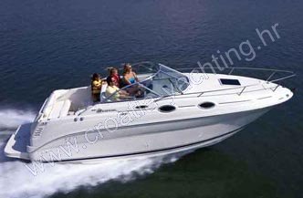 Sea Ray 240